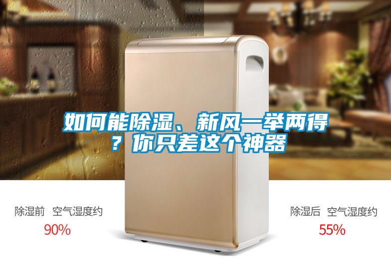 如何能除濕、新風一舉兩得？你只差這個神器