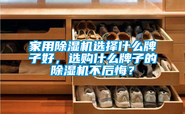家用除濕機選擇什么牌子好，選購什么牌子的除濕機不后悔？