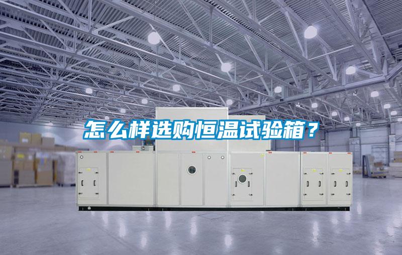 怎么樣選購恒溫試驗箱？