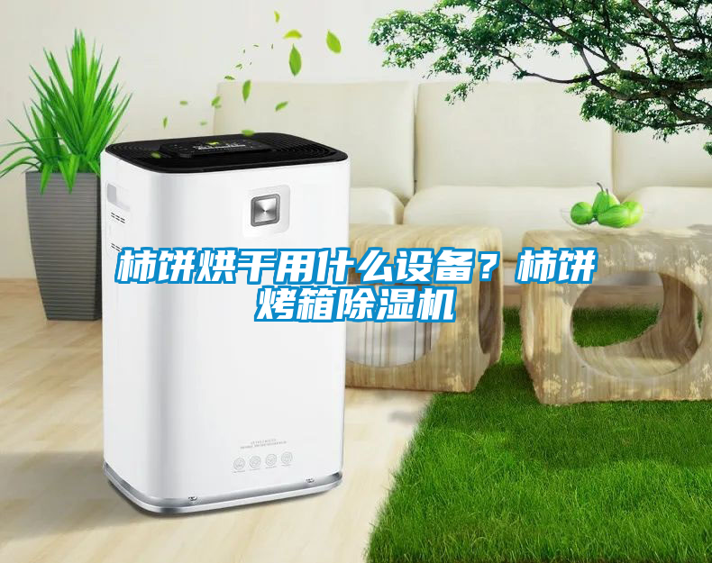 柿餅烘干用什么設(shè)備？柿餅烤箱除濕機