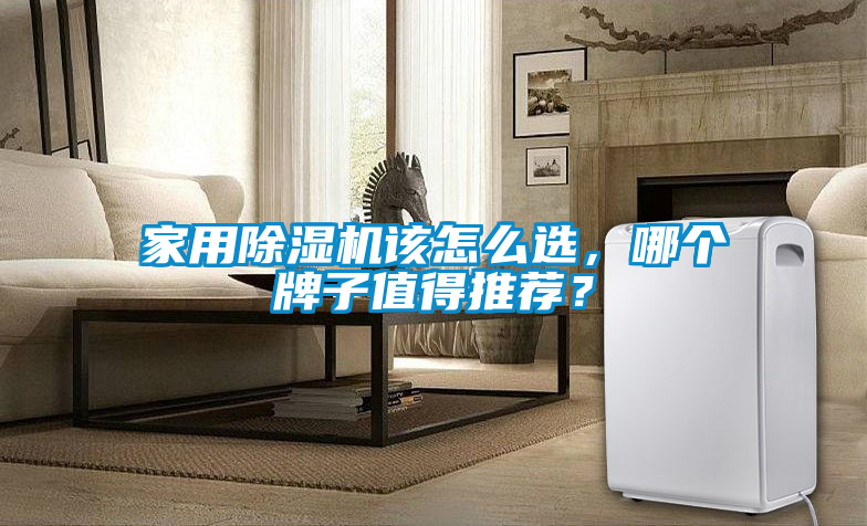 家用除濕機該怎么選，哪個牌子值得推薦？