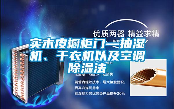 實木皮櫥柜門—抽濕機、干衣機以及空調除濕法