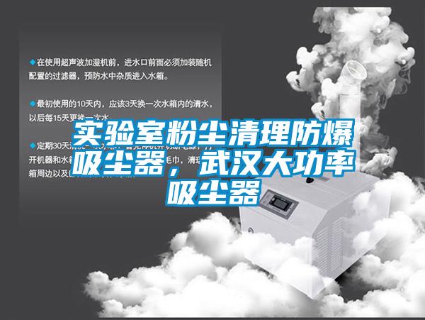實驗室粉塵清理防爆吸塵器，武漢大功率吸塵器