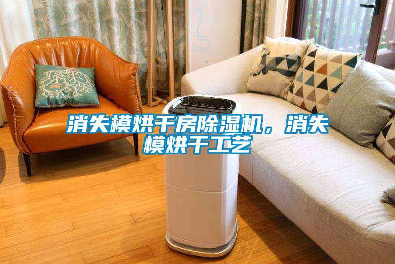 消失模烘干房除濕機，消失模烘干工藝