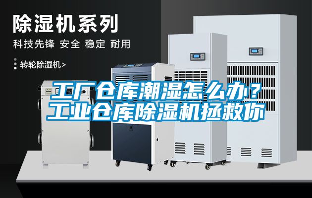 工廠(chǎng)倉(cāng)庫(kù)潮濕怎么辦？工業(yè)倉(cāng)庫(kù)除濕機(jī)拯救你