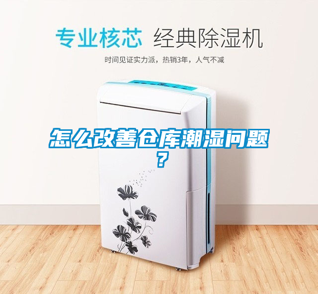 怎么改善倉庫潮濕問題？