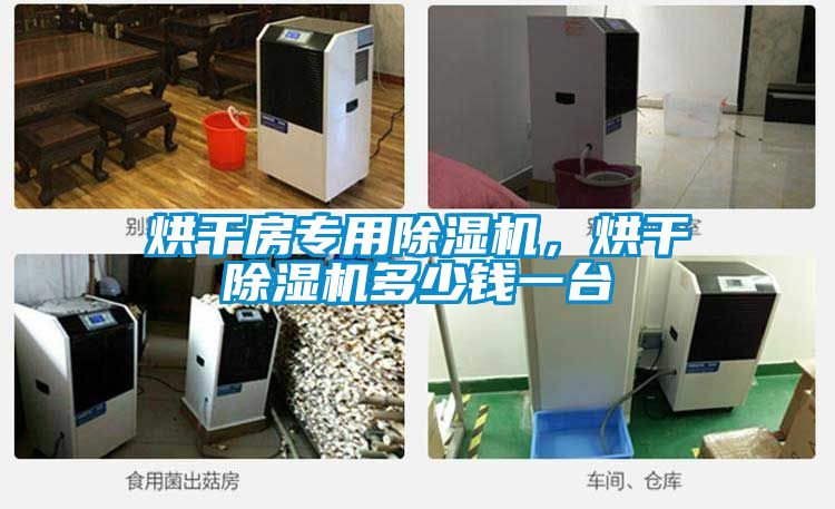 烘干房專用除濕機，烘干除濕機多少錢一臺