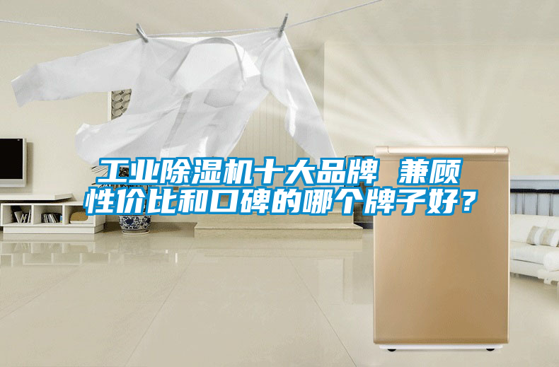 工業(yè)除濕機(jī)十大品牌 兼顧性價比和口碑的哪個牌子好？