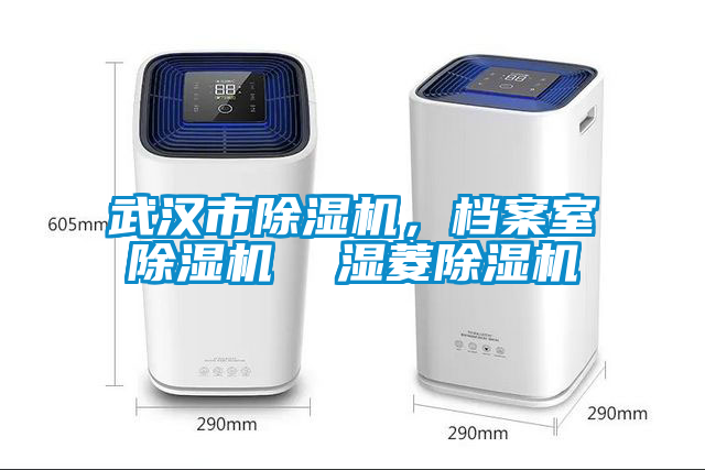 武漢市除濕機，檔案室除濕機  濕菱除濕機