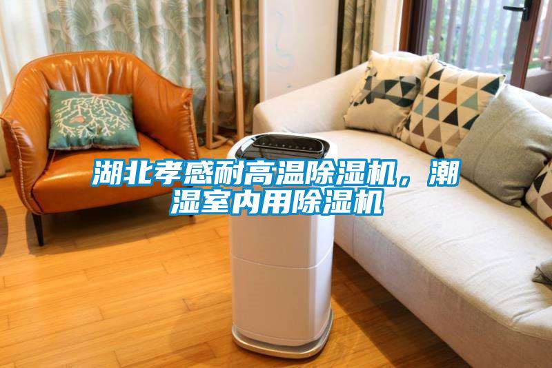 湖北孝感耐高溫除濕機，潮濕室內用除濕機