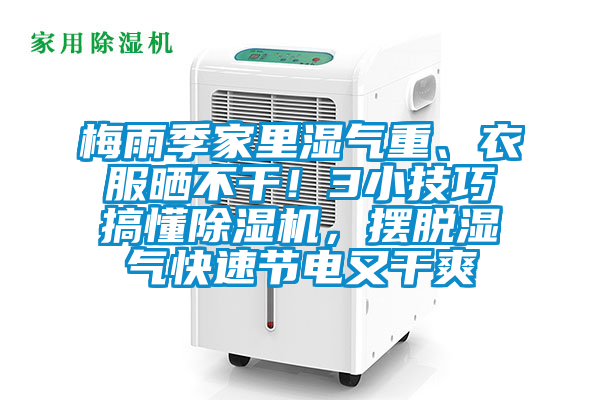 梅雨季家里濕氣重、衣服曬不干！3小技巧搞懂除濕機，擺脫濕氣快速節電又干爽