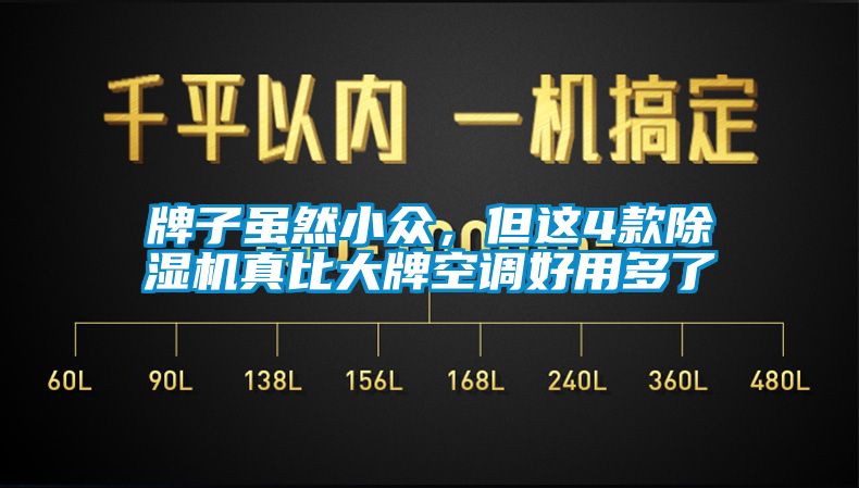 牌子雖然小眾，但這4款除濕機真比大牌空調好用多了