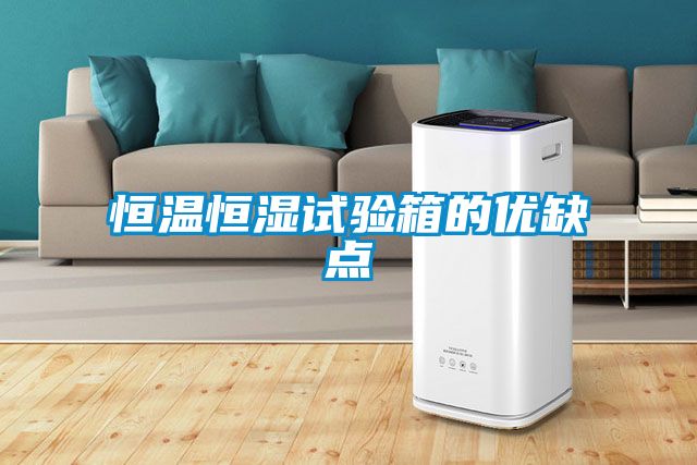 恒溫恒濕試驗箱的優(yōu)缺點(diǎn)