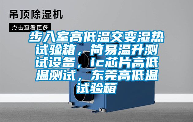 步入室高低溫交變濕熱試驗(yàn)箱，簡(jiǎn)易溫升測(cè)試設(shè)備，ic芯片高低溫測(cè)試，東莞高低溫試驗(yàn)箱