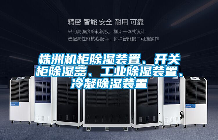 株洲機(jī)柜除濕裝置、開(kāi)關(guān)柜除濕器、工業(yè)除濕裝置、冷凝除濕裝置