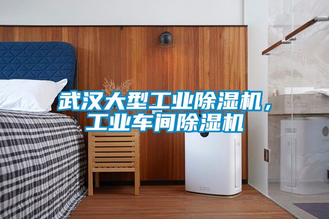 武漢大型工業除濕機，工業車間除濕機