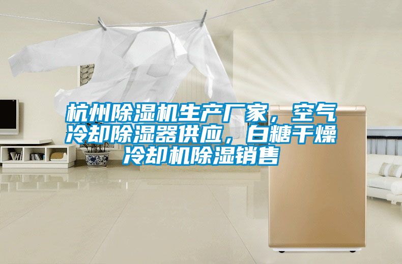 杭州除濕機生產(chǎn)廠家，空氣冷卻除濕器供應，白糖干燥冷卻機除濕銷售