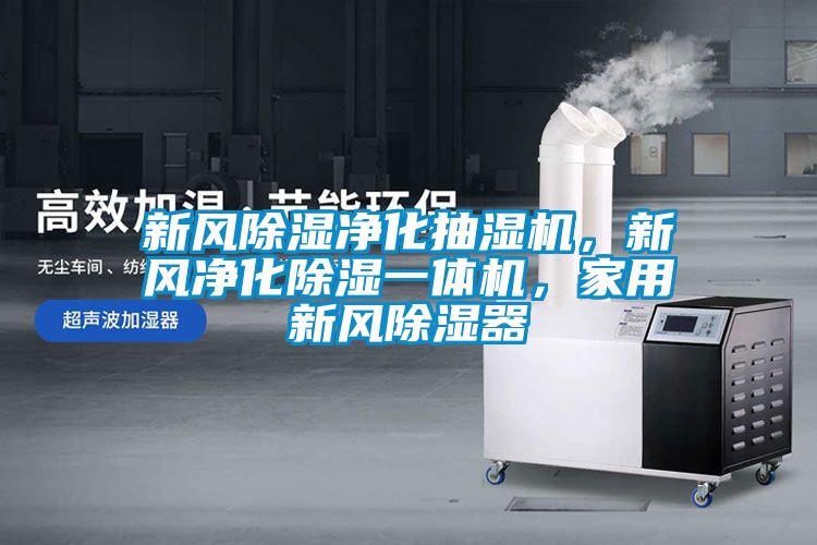 新風除濕凈化抽濕機，新風凈化除濕一體機，家用新風除濕器