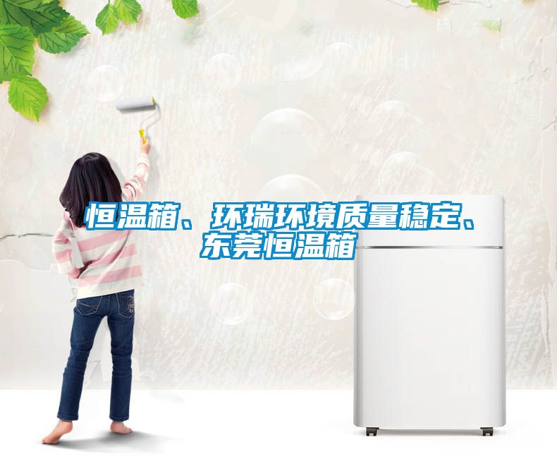 恒溫箱、環瑞環境質量穩定、東莞恒溫箱