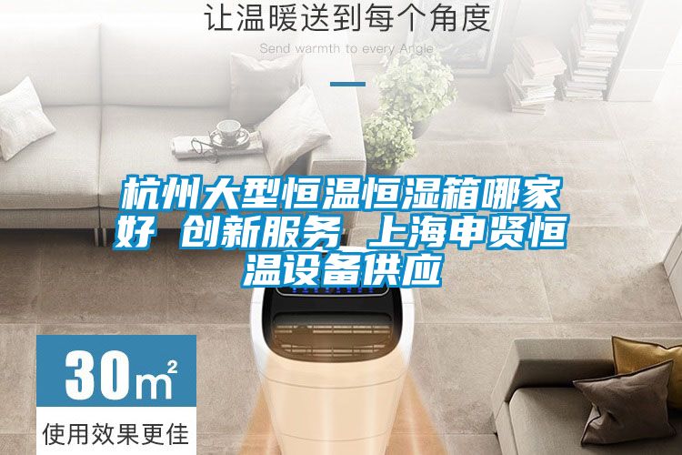 杭州大型恒溫恒濕箱哪家好 創(chuàng)新服務 上海申賢恒溫設(shè)備供應