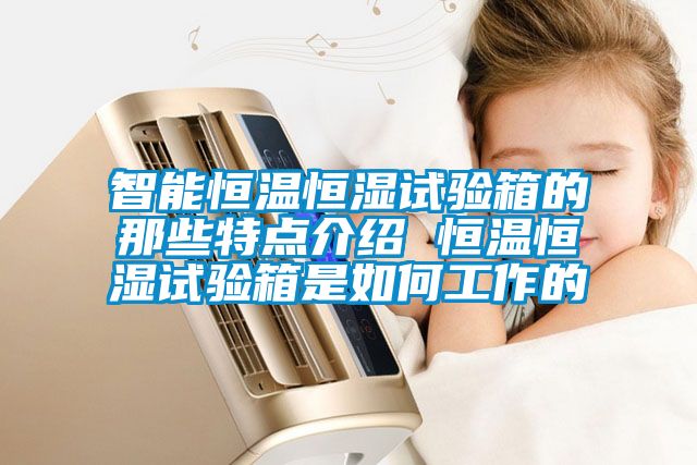 智能恒溫恒濕試驗箱的那些特點(diǎn)介紹 恒溫恒濕試驗箱是如何工作的