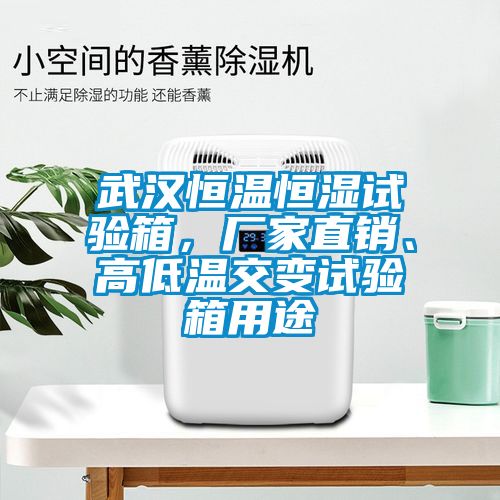 武漢恒溫恒濕試驗(yàn)箱，廠(chǎng)家直銷(xiāo)、高低溫交變?cè)囼?yàn)箱用途