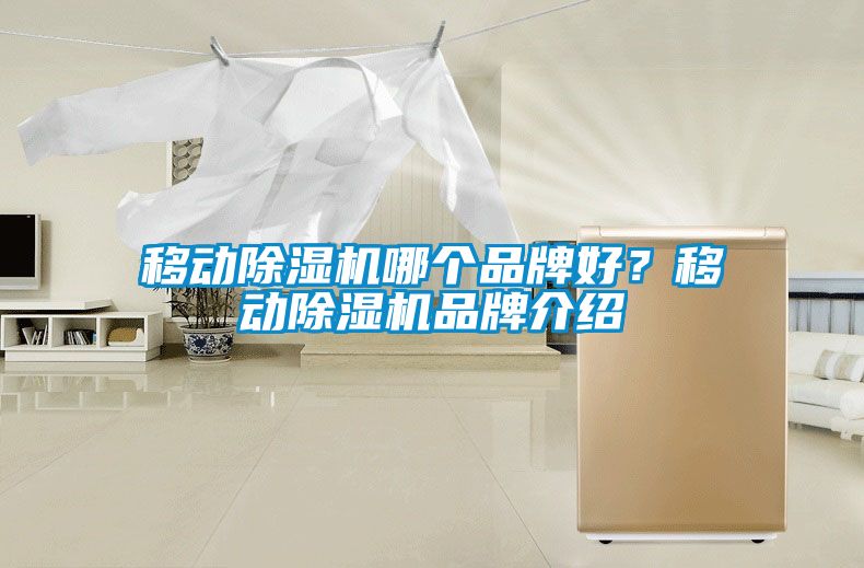 移動除濕機哪個品牌好？移動除濕機品牌介紹