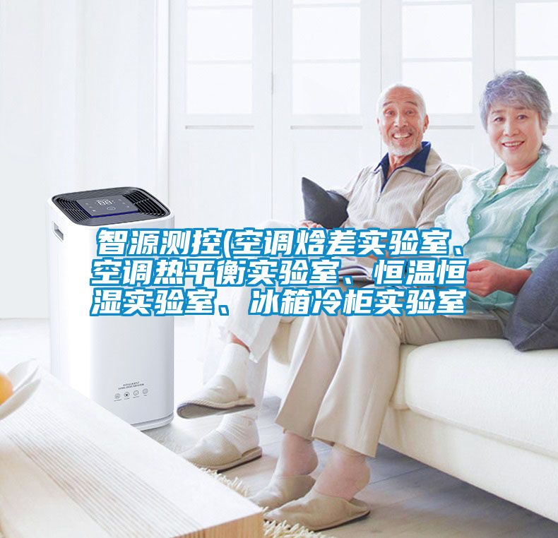 智源測控(空調焓差實驗室、空調熱平衡實驗室、恒溫恒濕實驗室、冰箱冷柜實驗室