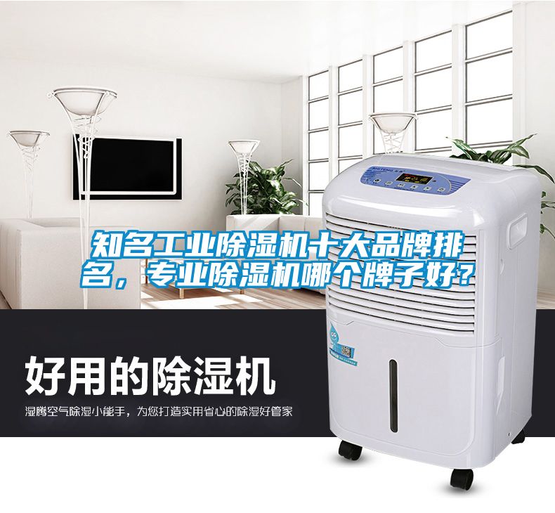 知名工業除濕機十大品牌排名，專業除濕機哪個牌子好？