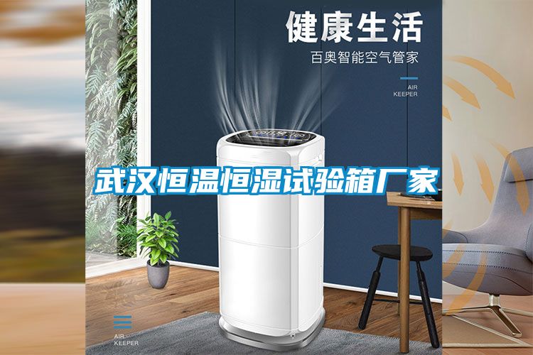 武漢恒溫恒濕試驗(yàn)箱廠(chǎng)家