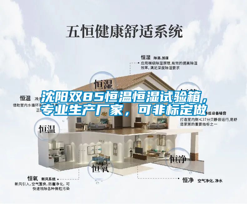 沈陽雙85恒溫恒濕試驗箱，專業生產廠家，可非標定做
