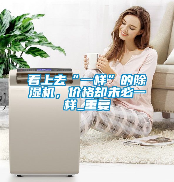 看上去“一樣”的除濕機，價格卻未必一樣_重復