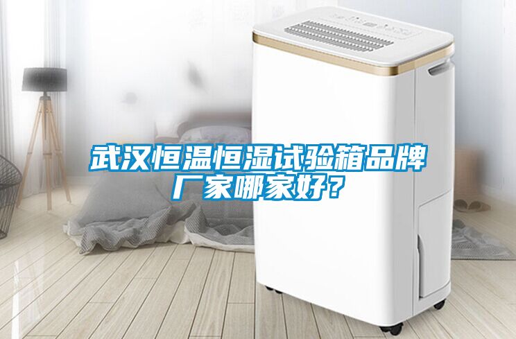 武漢恒溫恒濕試驗(yàn)箱品牌廠(chǎng)家哪家好？