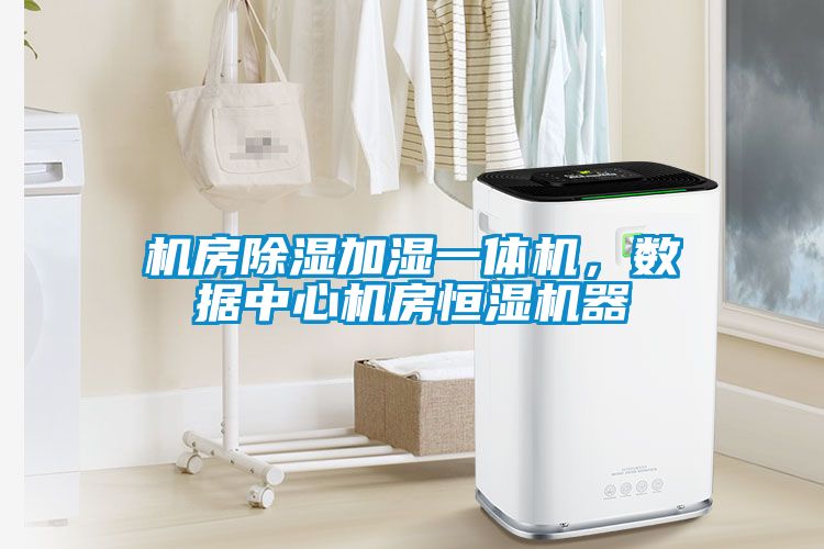 機房除濕加濕一體機，數(shù)據(jù)中心機房恒濕機器