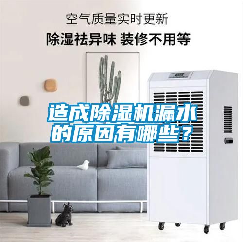 造成除濕機漏水的原因有哪些？