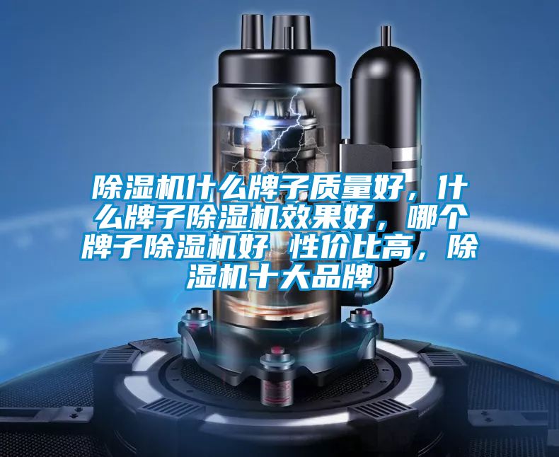 除濕機什么牌子質量好，什么牌子除濕機效果好，哪個牌子除濕機好 性價比高，除濕機十大品牌