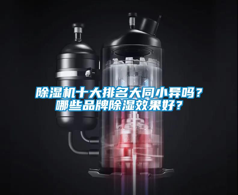 除濕機(jī)十大排名大同小異嗎？哪些品牌除濕效果好？