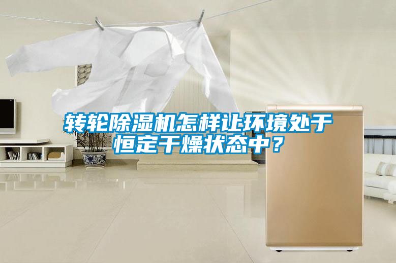 轉輪除濕機怎樣讓環境處于恒定干燥狀態中？