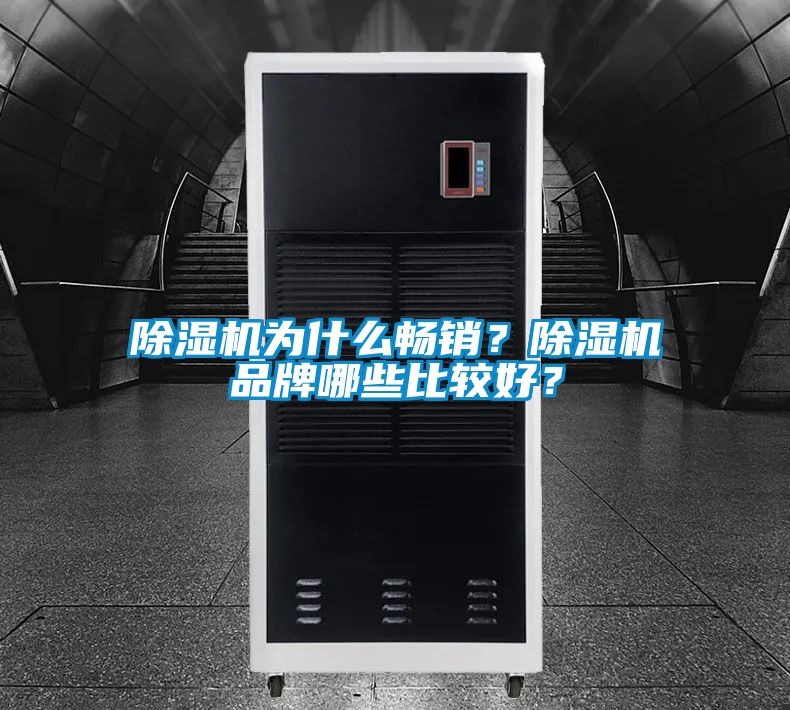 除濕機為什么暢銷？除濕機品牌哪些比較好？