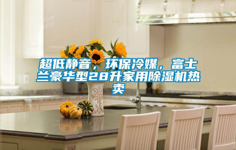 超低靜音，環(huán)保冷媒，富士蘭豪華型28升家用除濕機熱賣