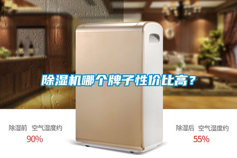 除濕機哪個牌子性價比高？