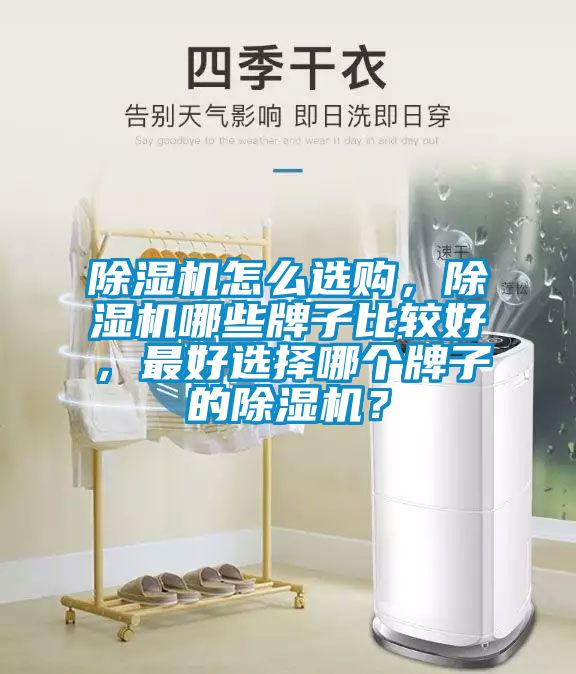 除濕機怎么選購，除濕機哪些牌子比較好，最好選擇哪個牌子的除濕機？