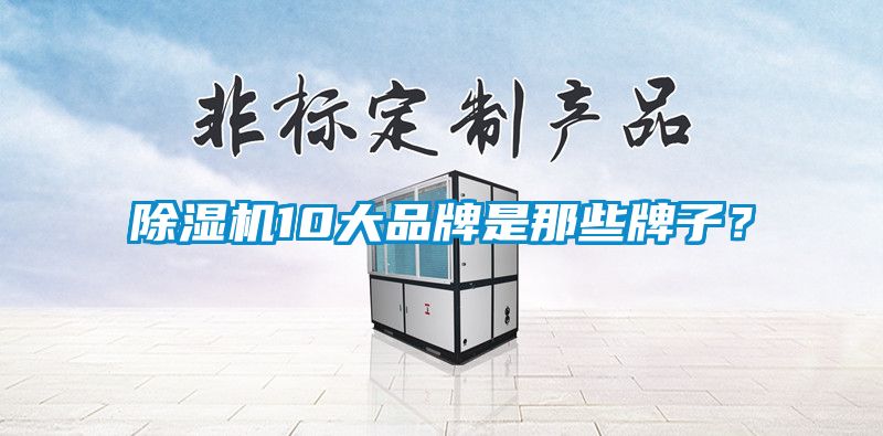 除濕機10大品牌是那些牌子？
