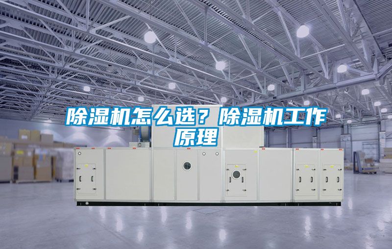 除濕機怎么選？除濕機工作原理