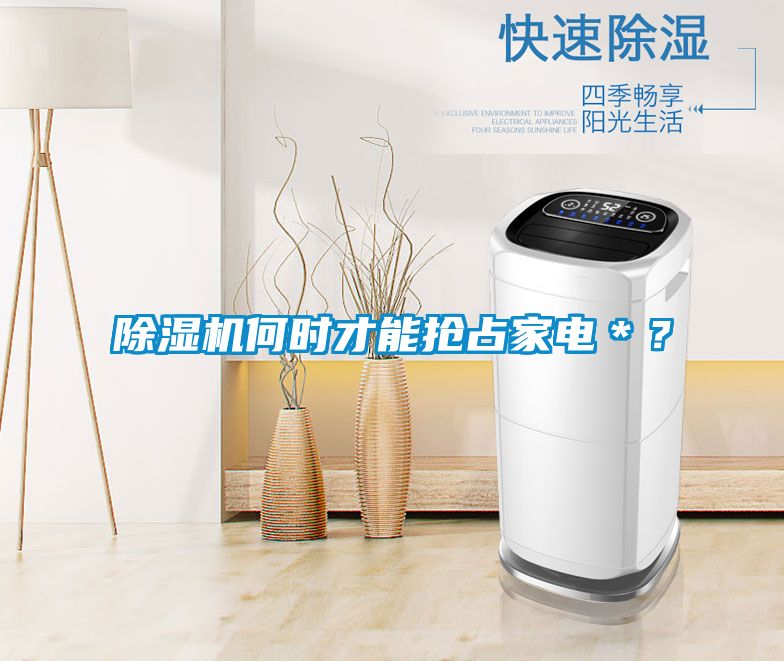 除濕機何時才能搶占家電＊？