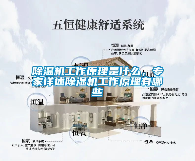 除濕機工作原理是什么，專家詳述除濕機工作原理有哪些