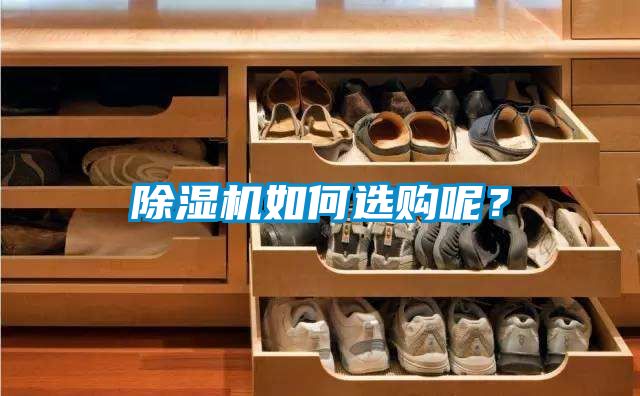 除濕機如何選購呢？