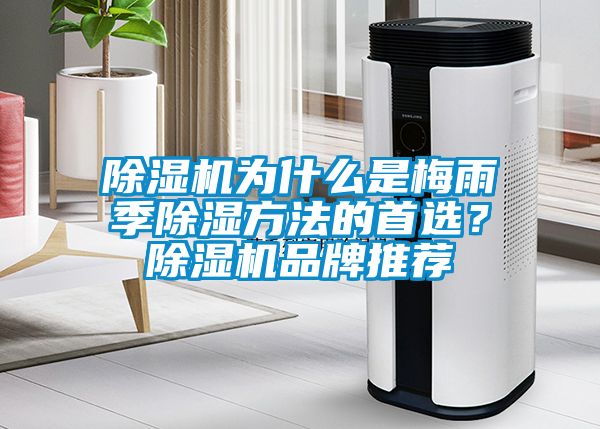 除濕機為什么是梅雨季除濕方法的首選？除濕機品牌推薦