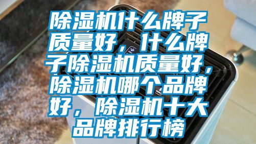 除濕機(jī)什么牌子質(zhì)量好，什么牌子除濕機(jī)質(zhì)量好，除濕機(jī)哪個(gè)品牌好，除濕機(jī)十大品牌排行榜