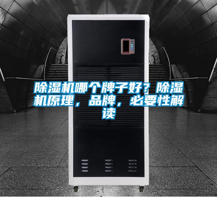 除濕機哪個牌子好？除濕機原理，品牌，必要性解讀